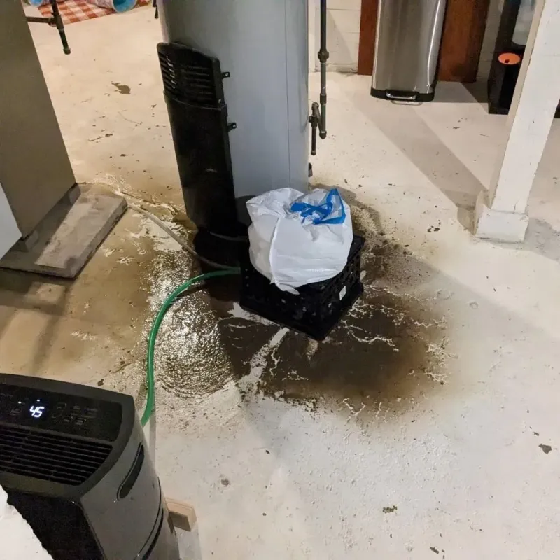 Sewage Backup Cleanup Service in Marlboro Village, MD